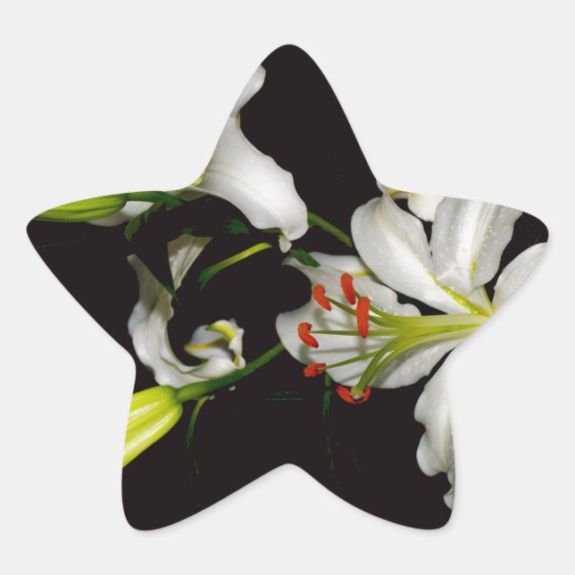 Irish Design - Sammlung von Messing und Blume Stern-Aufkleber (Vorderseite)