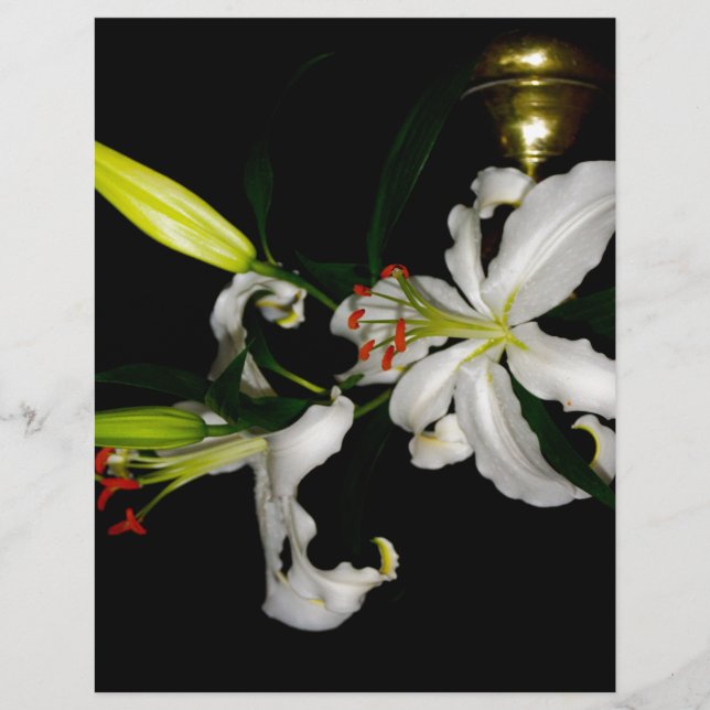 Irish Design - The Blume Collection (Vorderseite)