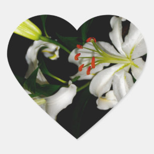 Irish Design - The Blume Collection Herz-Aufkleber