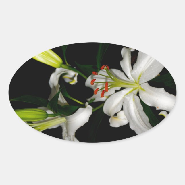 Irish Design - The Blume Collection Ovaler Aufkleber (Vorderseite)