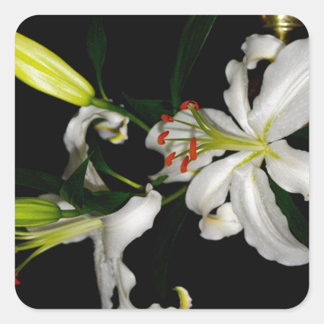 Irish Design - The Blume Collection Quadratischer Aufkleber (Vorderseite)