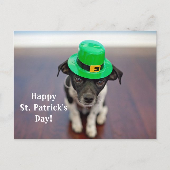 Irish Dog St. Patrick's Day Postcard Postkarte (Vorderseite)
