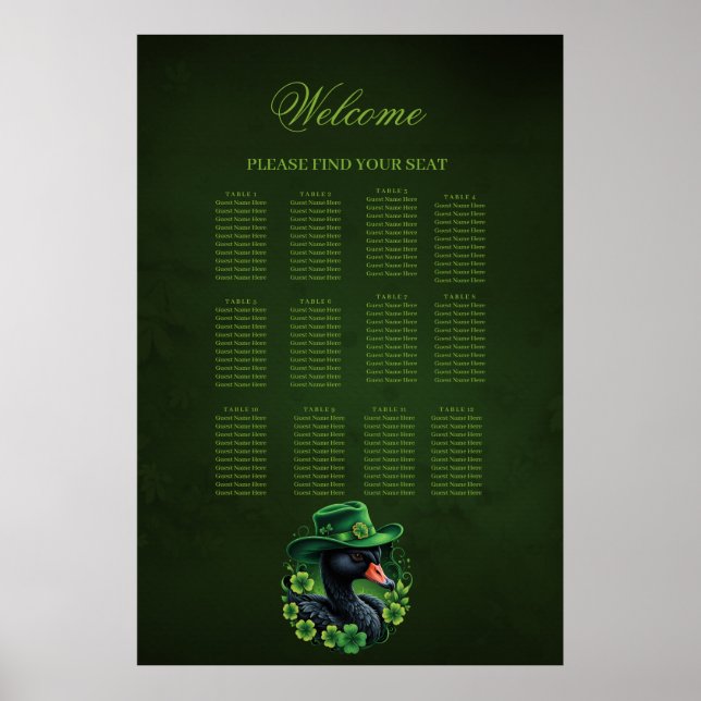 Irish Elegance, The Black Swan of St Patrick Poster (Vorne)
