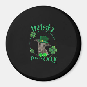 Irish For a day Whippet Lucky Hund in Patrick Day  Magnet