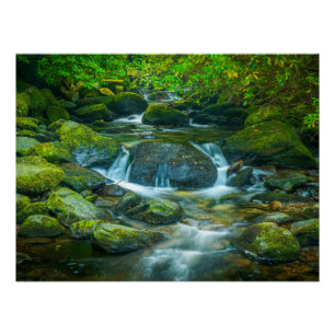 Irish Forest Bach – Smaragdgrünes Waldland-Fotodru Poster