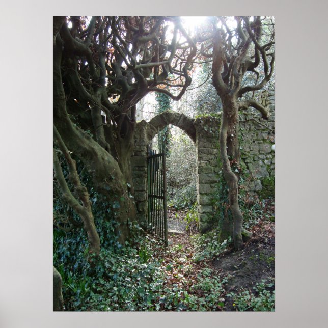 Irish Garden Gate Poster (Vorne)