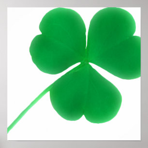 Irish Green Kleeblatt Simple   St. Patrick's Day Poster