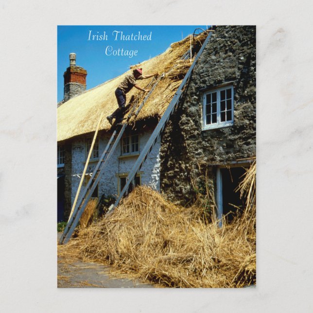 Irish Images Postcard Postkarte (Vorderseite)