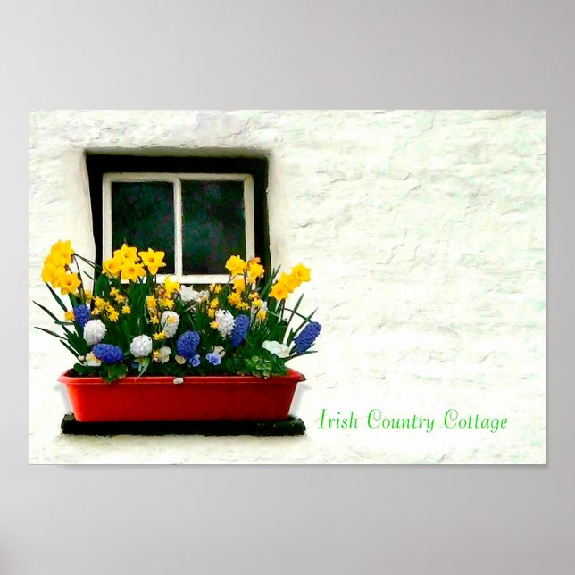 Irish Images Poster (Vorne)