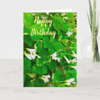 Irish Kleeblatt Birthday Greetings Card