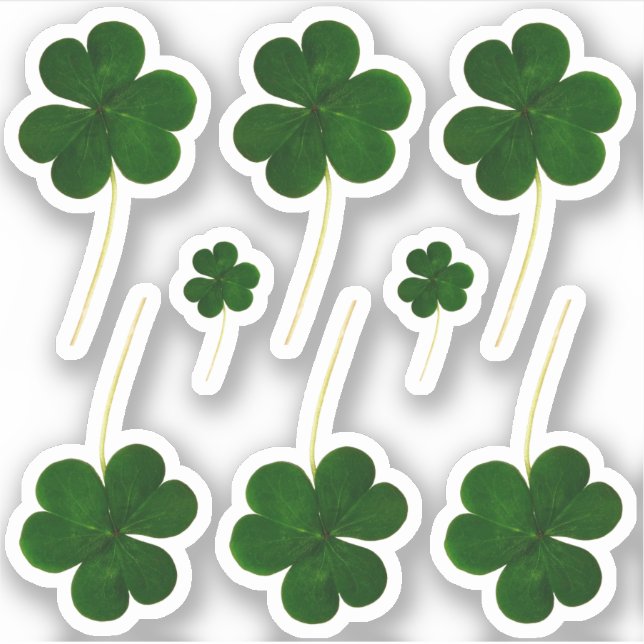 Irish Kleeblatt Green Clovers St. Patrick's Day Aufkleber (Vorderseite)