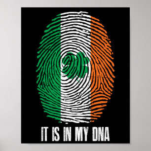 Irish PrIDE Irland Es ist in meiner DNS Poster