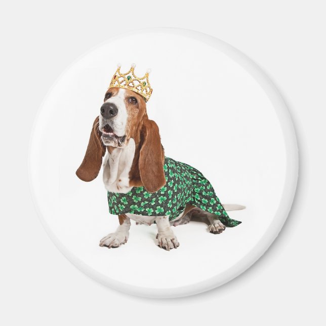 Irish Princess Basset Magnet (Vorne)