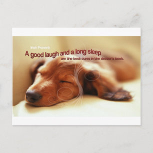 Irish Proverb and Sleeping Dog Postkarte