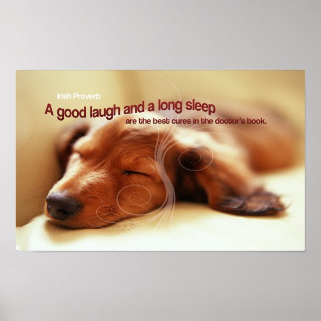Irish Proverb Sleeping Dog Poster (Vorne)