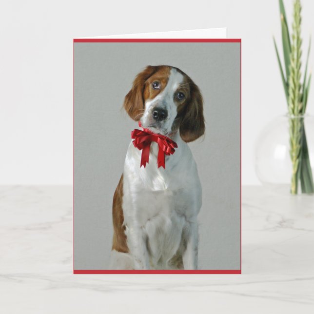 Irish Red and White Setter Cookies Holiday Card Karte (Vorderseite)