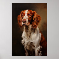 Irish Red and White Setter