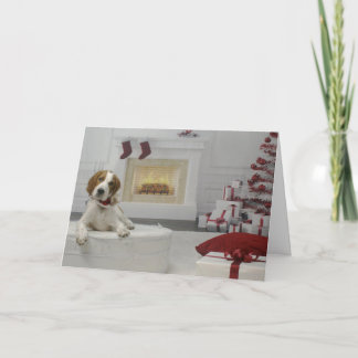 Irish Red and White Setter Puppy Holiday Card Karte