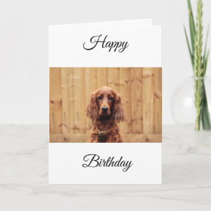 Irish Red Setter Birthday Card Karte