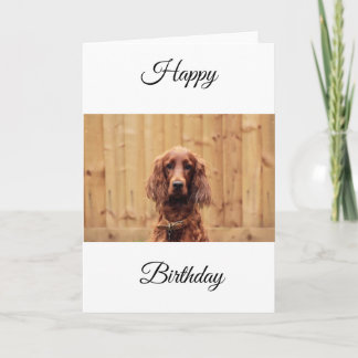 Irish Red Setter Birthday Card Karte