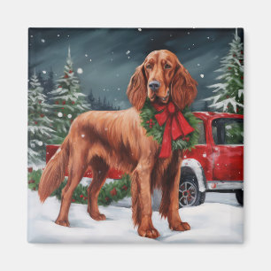 Irish Red Setter Dog in Schnee Weihnachten Magnet