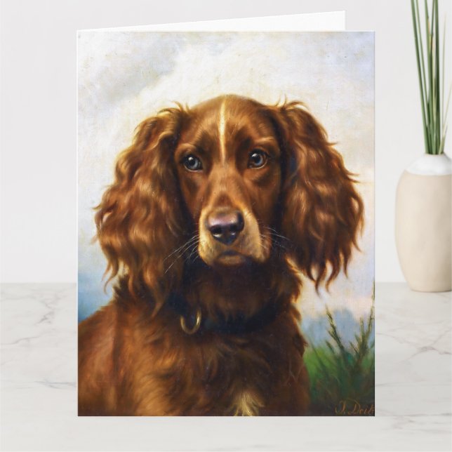 Irish Red Setter Dog Karte (Vorderseite)