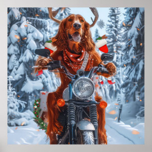 Irish Red Setter Hund fährt Motorrad Weihnachten Poster