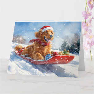 Irish Red Setter im Schlitten Lass es schneien Wei Karte