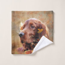 Irish Red Setter, Irish Setter