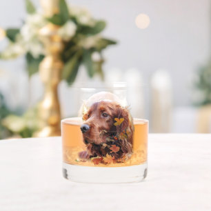 Irish Red Setter, Irish Setter Whiskyglas