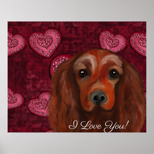 Irish Red Setter Poster (Vorne)
