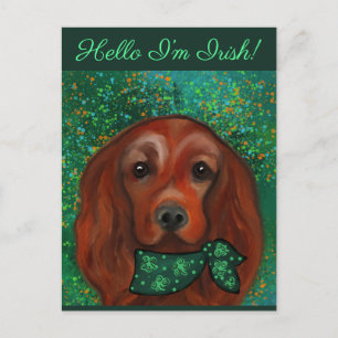 Irish Red Setter Postkarte