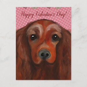 Irish Red Setter Postkarte