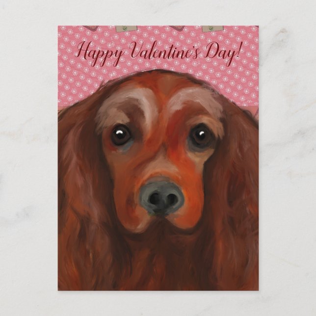 Irish Red Setter Postkarte (Vorderseite)