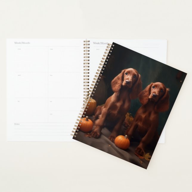 Irish Red Setter Welppy Autumn Delight Pumpkin Planer (Anzeige)