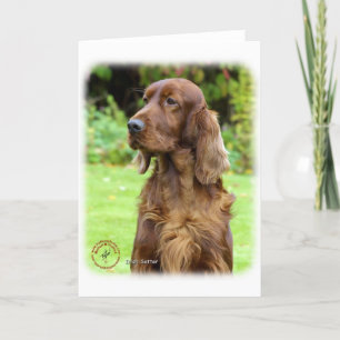 Irish Setter 9T004D-286 Karte