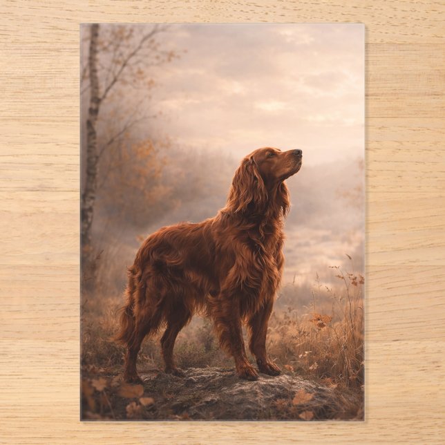 Irish Setter Acryleinladungen (Vorderseite)