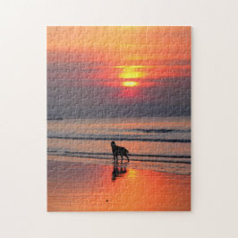 Irish Setter bei Sunset am Irish Sea Puzzle