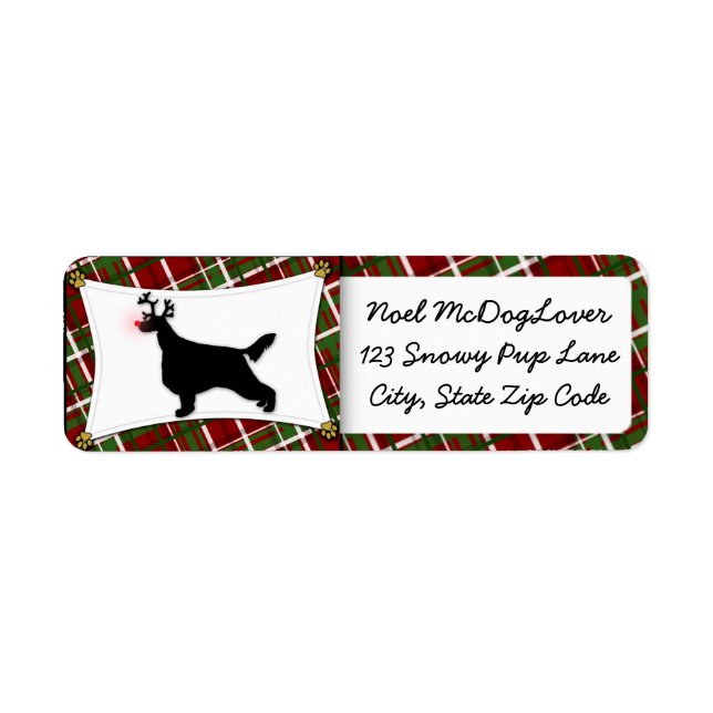 Irish Setter Christmas (Vorne)