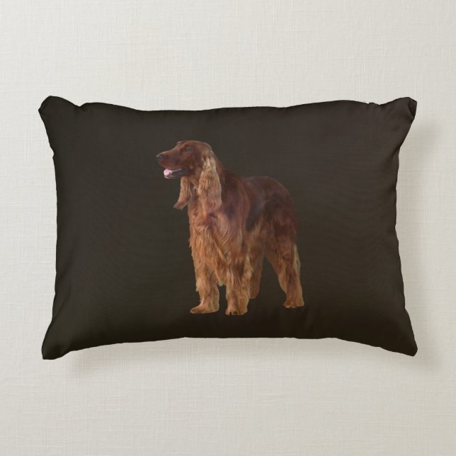 Irish Setter Dekokissen (Vorderseite)