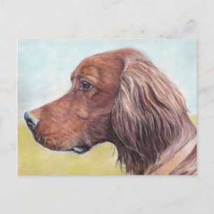 Irish Setter Dog Art Postcard Postkarte