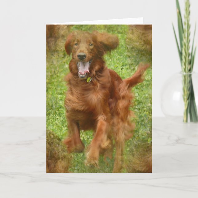 Irish Setter Dog Grußkarte Karte (Vorderseite)