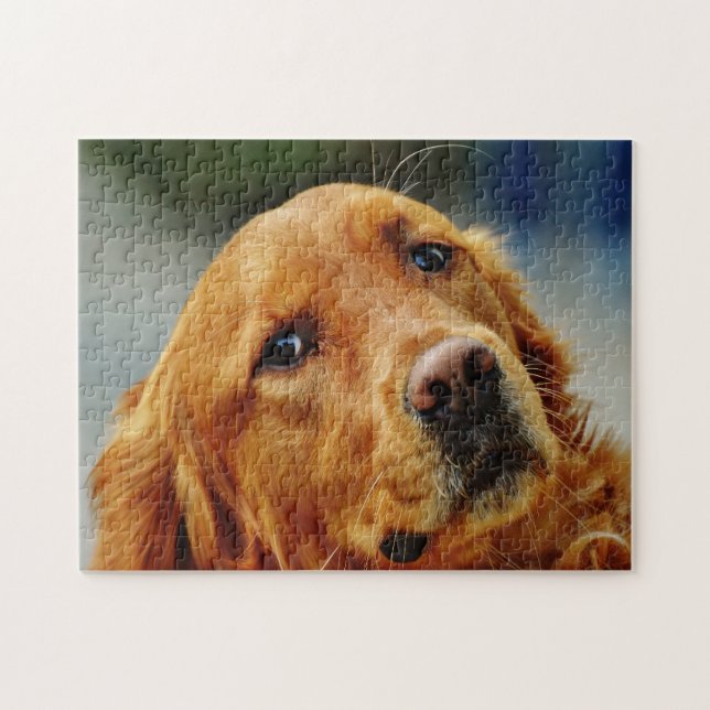 Irish Setter Dog. Puzzle (Horizontal)