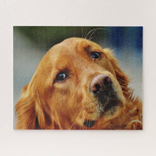 Irish Setter Dog. Puzzle (Horizontal)