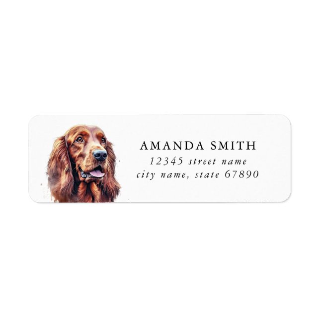 Irish Setter Dog Rücksendeadressen-Aufkleber (Vorne)