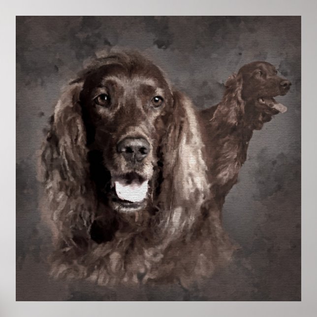 Irish Setter Dogs Digital Art Poster (Vorne)