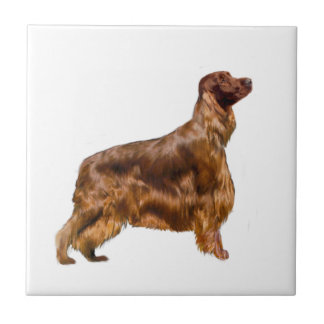 Irish Setter Fliese