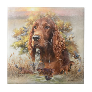 Irish Setter Fliese