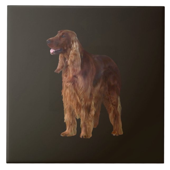 Irish Setter Fliese (Vorderseite)