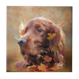 Irish Setter Fliese